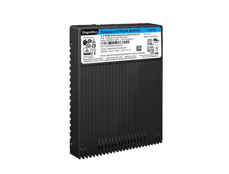 DapuStor?嶸神Roealsen? R630X系列SSD